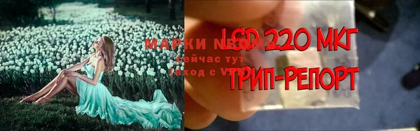 гидра Волосово