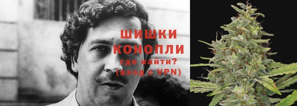 гидропоника Володарск