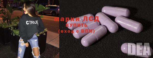 гидра Вязьма