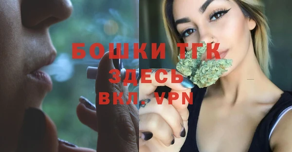 хмурый Волоколамск